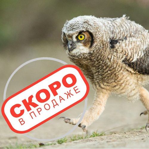 Гликовир