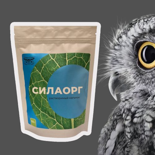 Силаорг